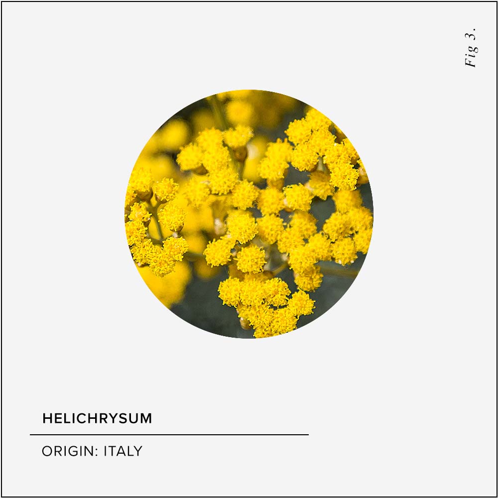 Helichrysum Skin Benefits