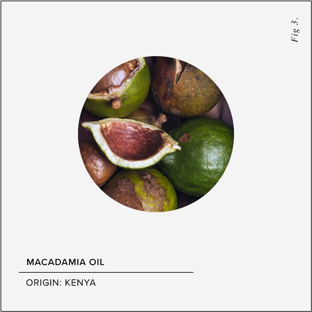 Macadamia Oil Skin Benefits