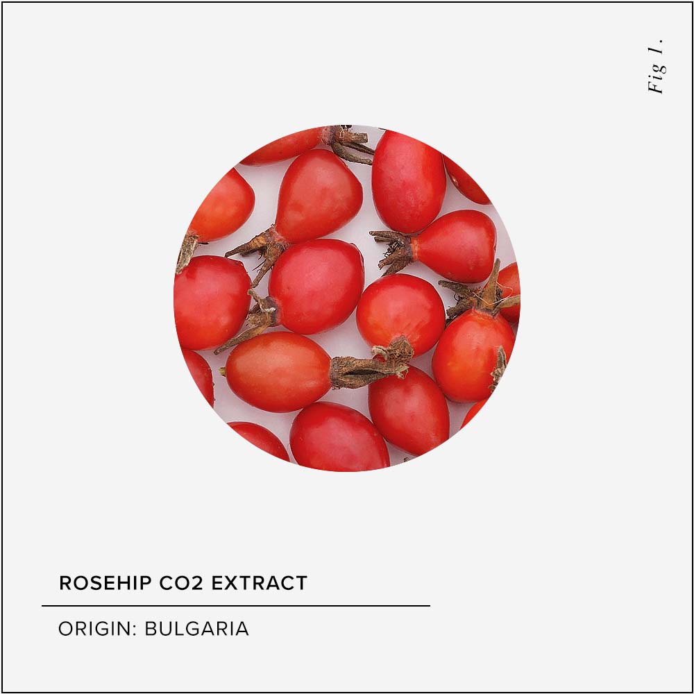 Rosehip CO2 Extract Skin Benefits