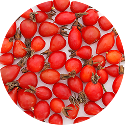 Rosehip Seed