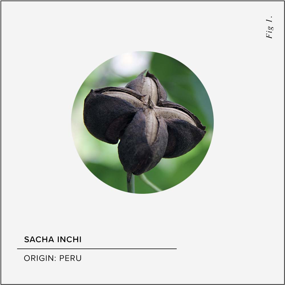 Sacha Inchi Skin Benefits