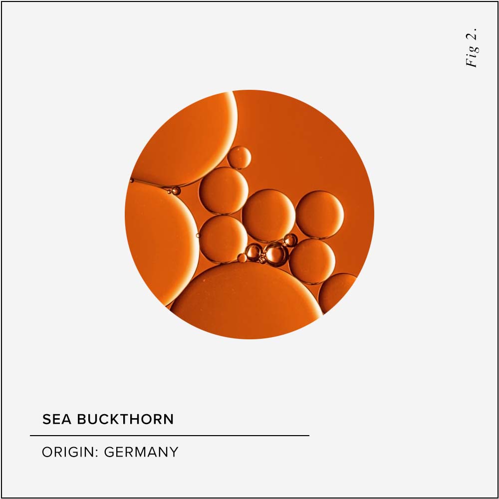 Sea Buckthorn Skin Benefits