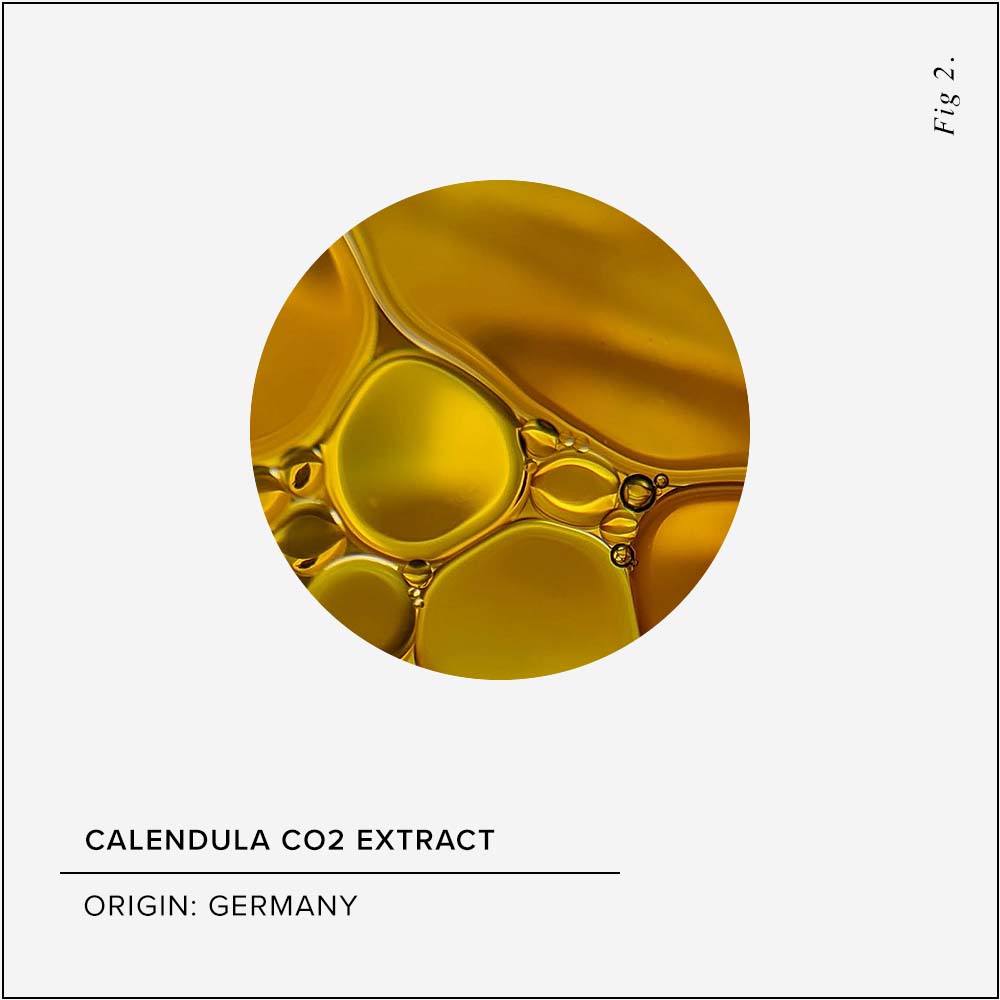 Calendula CO2 Extract Skin Benefits