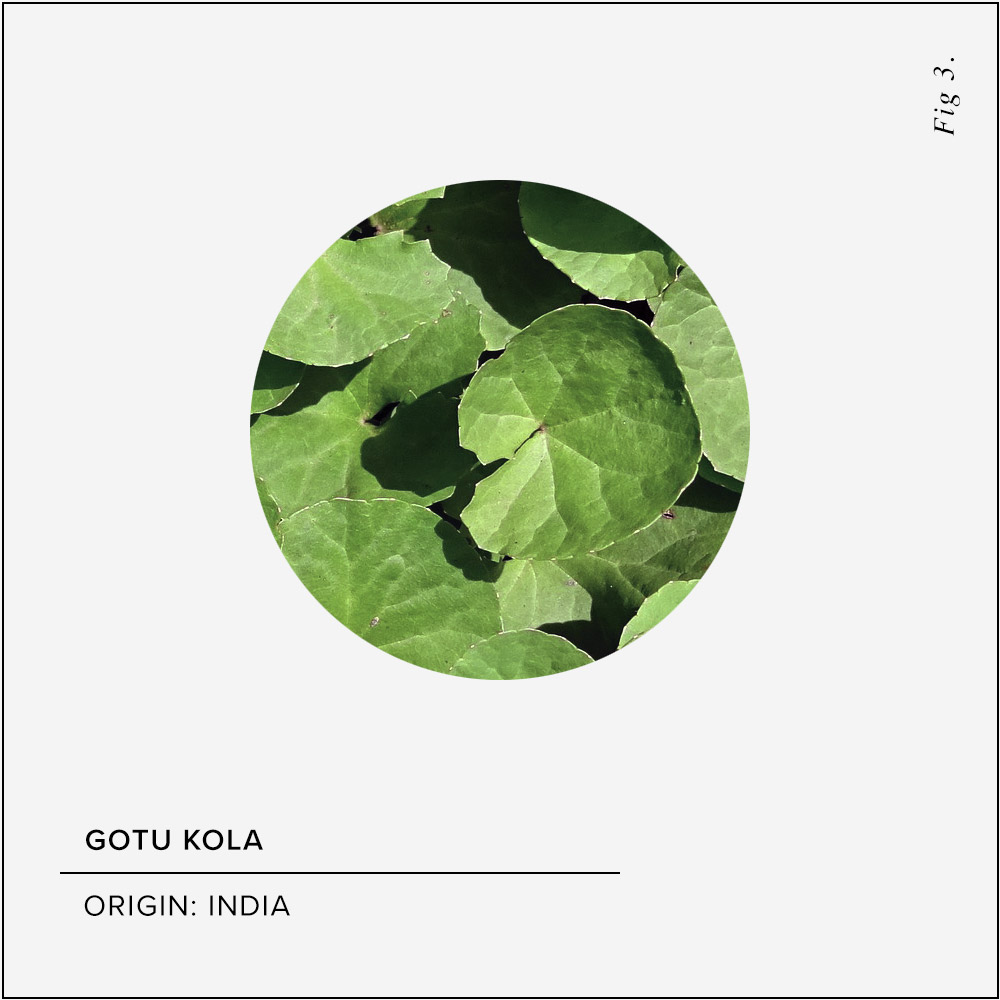 Gotu Kola Skin Benefits