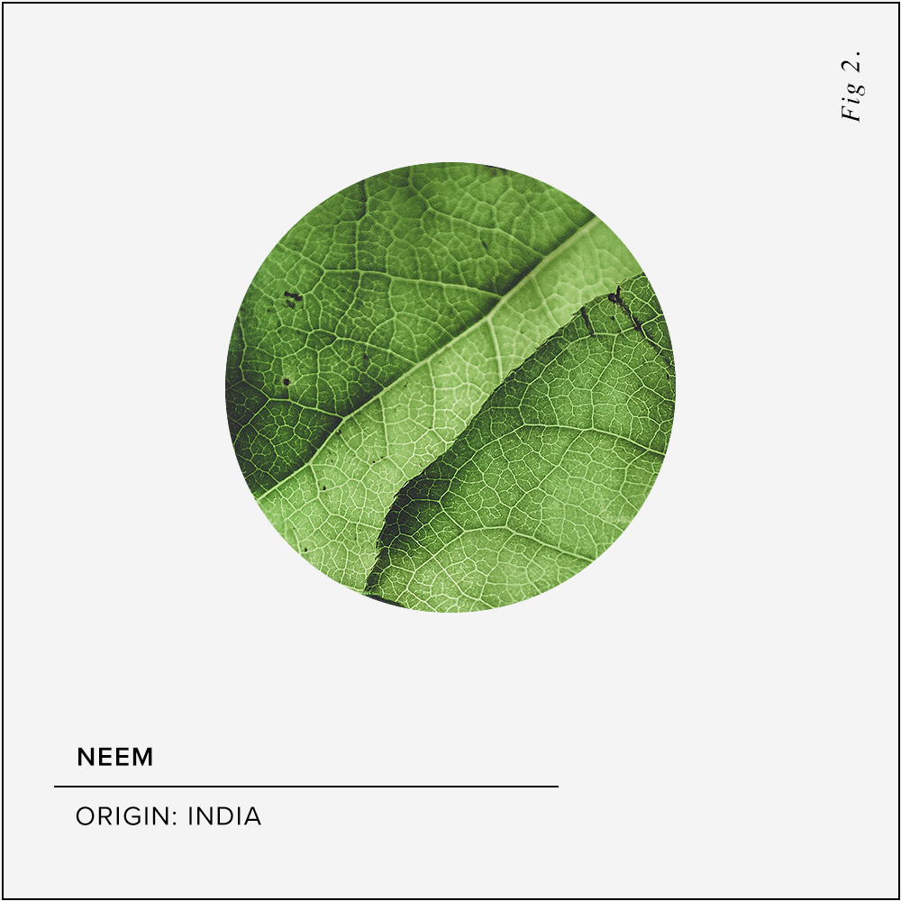 Neem Skin Benefits