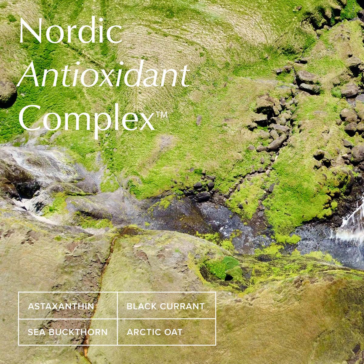 Nordic Antioxidant Complex for skin