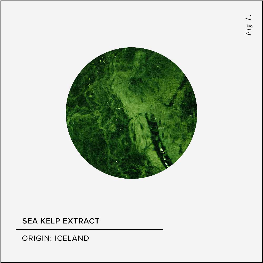 Sea Kelp Skin Benefits