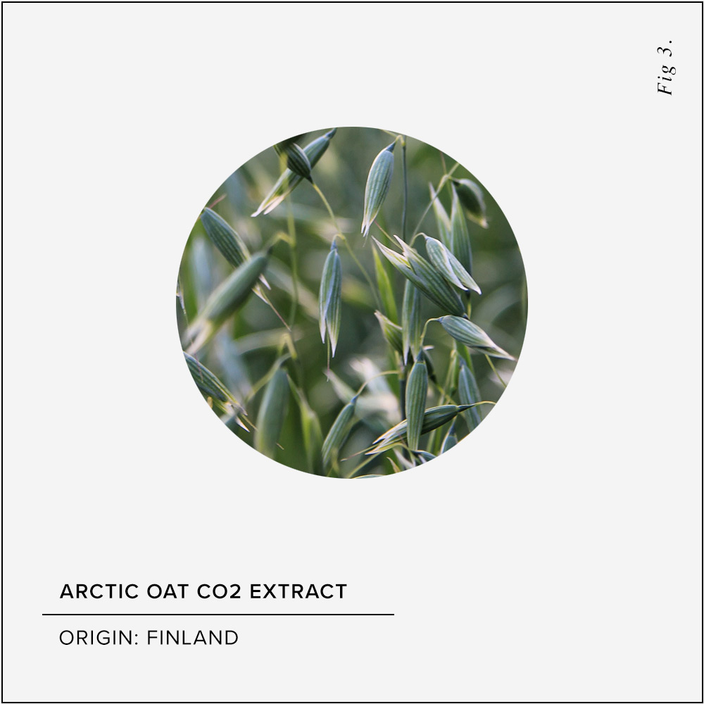 Arctic Oat CO2 Extract Skin Benefits