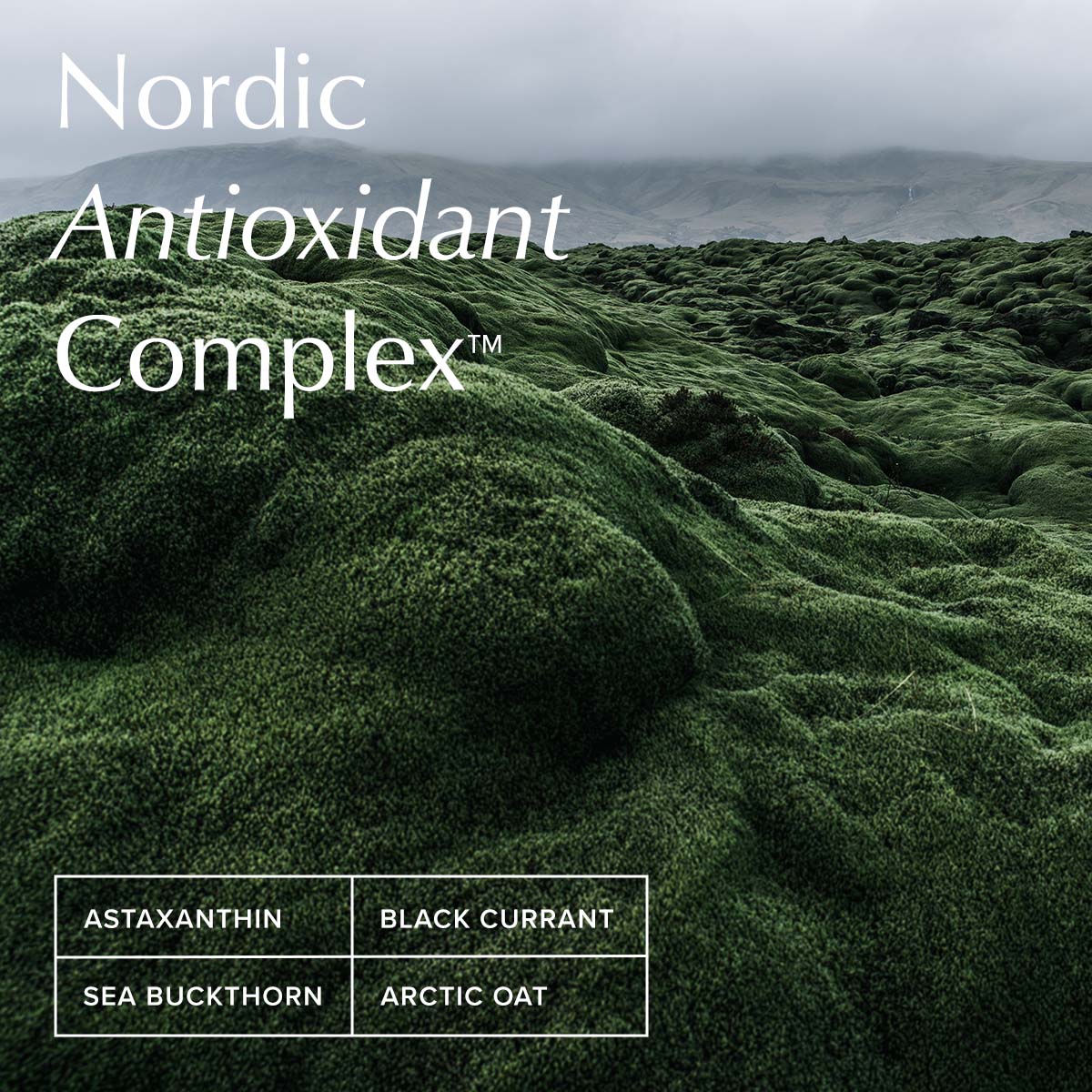 Nordic Antioxidant Complex for skin