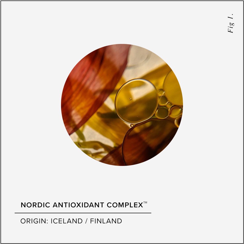 Nordic Antioxidant Complex Skin Benefits