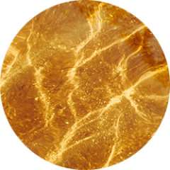 Vitamin C Serum Ester