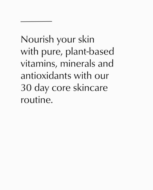 Discovery Kit - Natural + Organic Skincare - Root Science