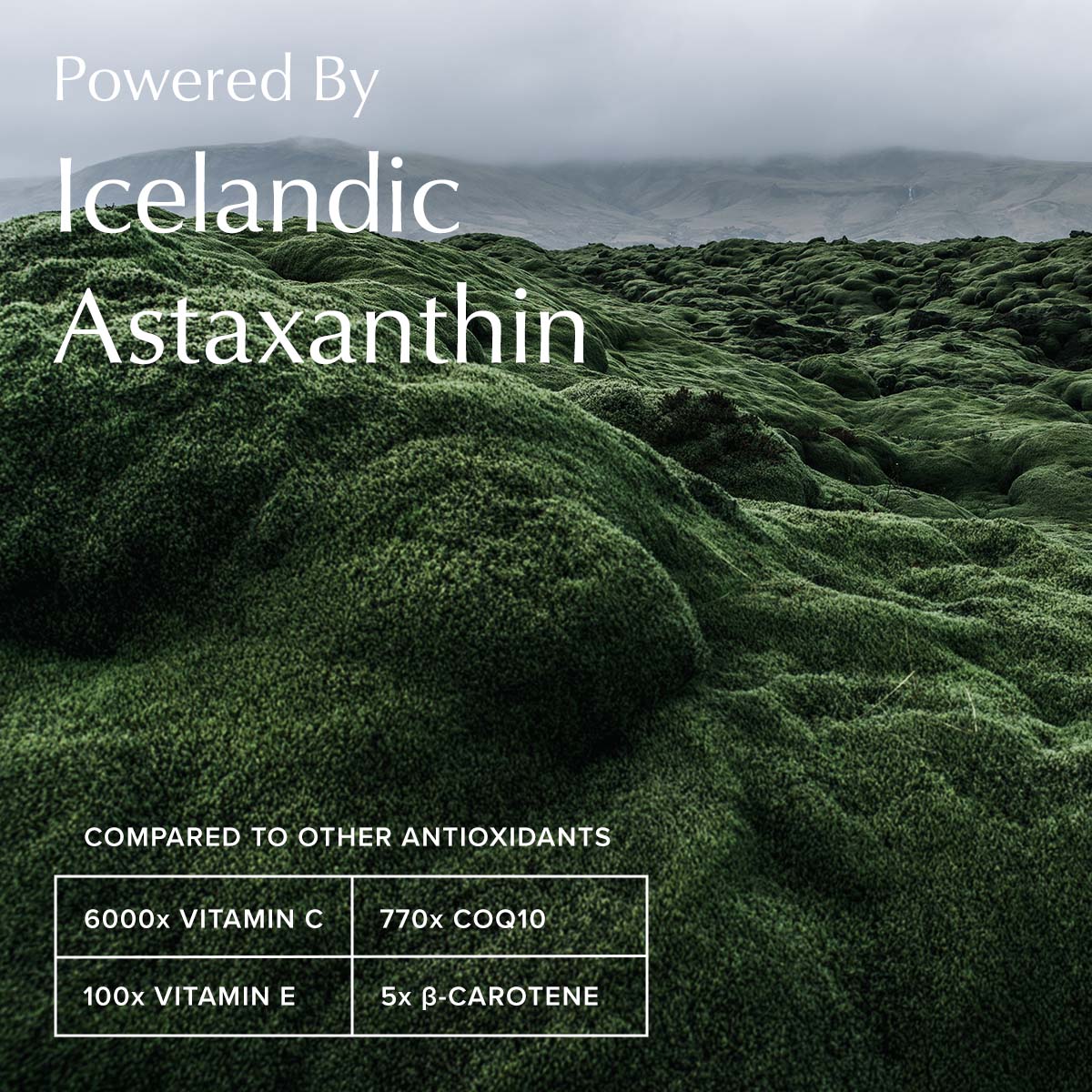 Peptide Serum powered by Icelandic Astaxanthin