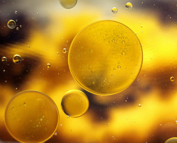 Jojoba Oil Skin Benefits