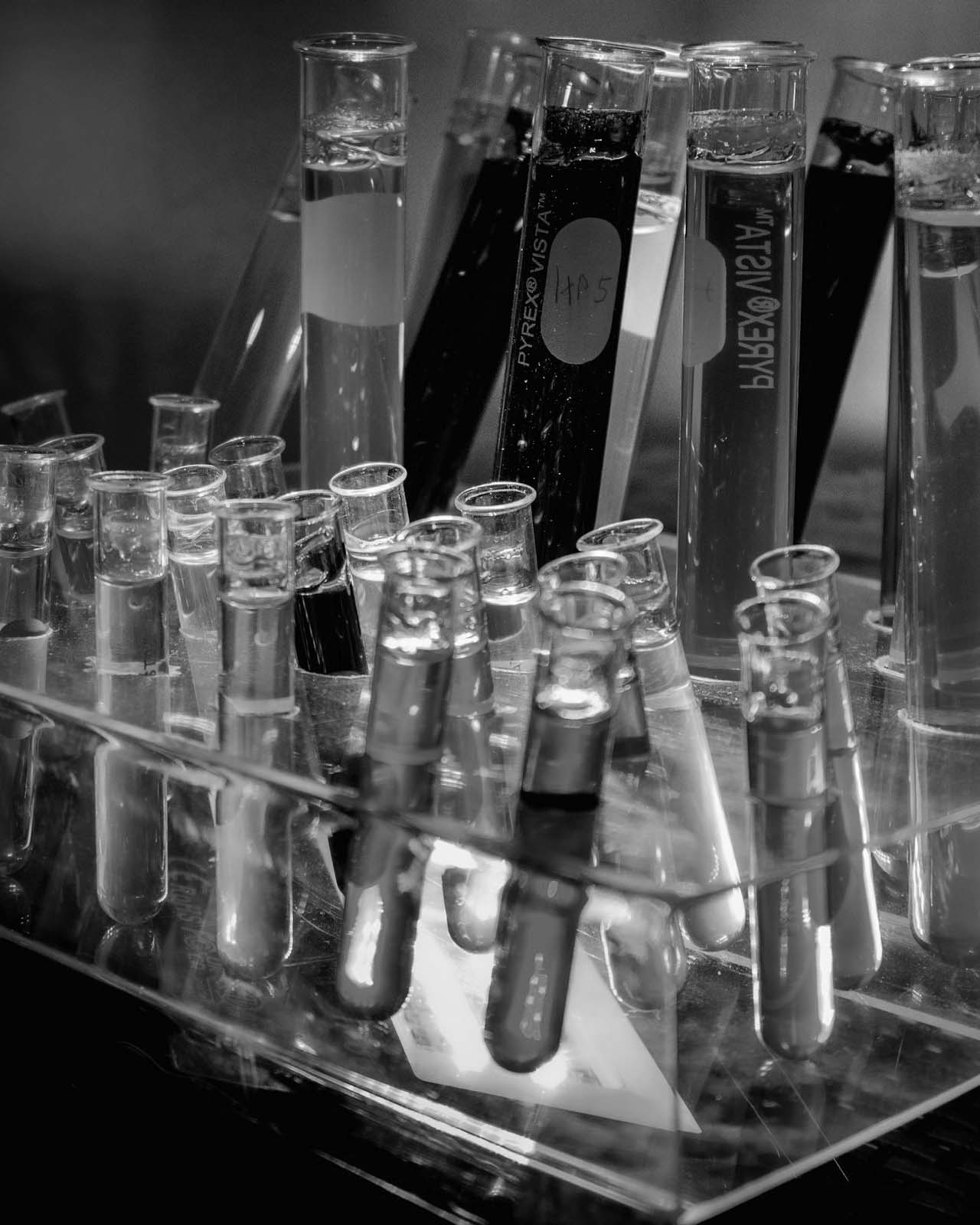 Ingredients We Leave Out